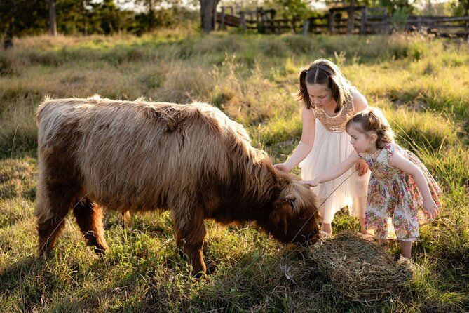 Morning Farm Experience near Gympie & Noosa