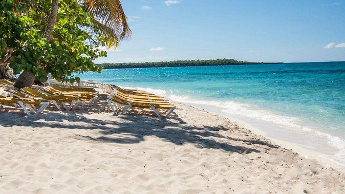 Full-Day Catalina Island Snorkeling Tour from Bavaro