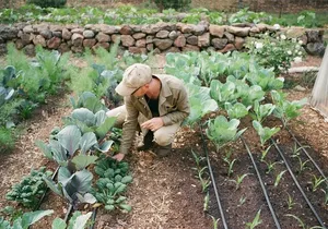 Private Farm Workshop in Napa Valley