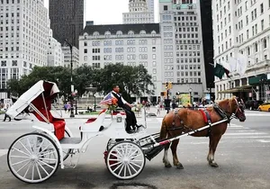 Central Park Horse Carriage Ride
