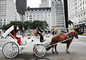 Central Park Horse Carriage Ride