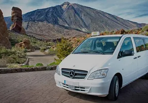Tenerife Transfer from North Area Hotels to South Airport (Reina Sofia)