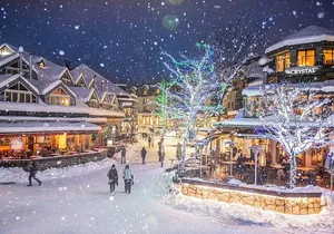 Vancouver Airport Transfer to Vancouver/Whistler (Special Offer)