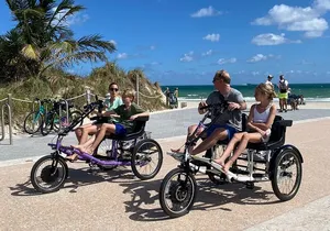 Electric Side By Side Bike Rentals