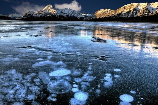 Banff Winter Day Tour: Lake Louise Ski Resort & Abraham Lake