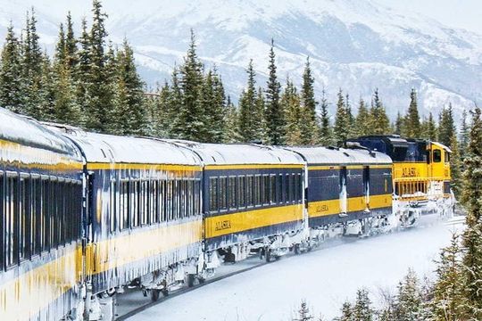 Alaska Railroad Aurora Winter Fairbanks to Anchorage One Way