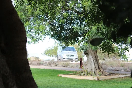Algarve Private Tour