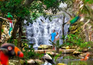 Private Tour Tulum and Night Show in the Park Xcaret