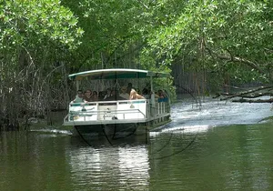 Black River Safari and YS Falls Tour from Montego Bay