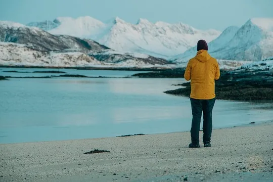 Private Arctic Fjord Roadtrip with Scenic Picnic from Tromso