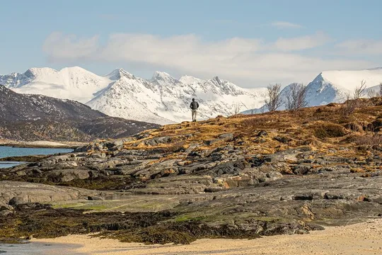 Private Arctic Fjord Roadtrip with Scenic Picnic from Tromso
