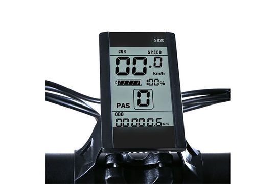 E-Bike Rentals in NYC