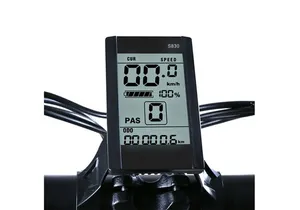 E-Bike Rentals in NYC