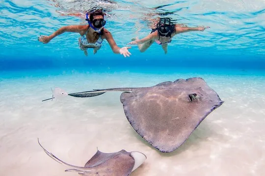 Stingray City & Two Reef Snorkeling Adventure in Grand Cayman