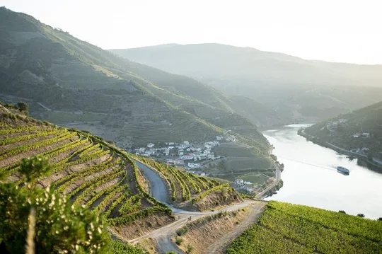 Premium Private Douro Tour: 2 Wineries with Tastings & Cruise