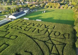 Happy Farm Fun Day Tour from NY | Kids 50% Off