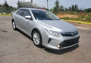 Private Transfer from MBJ Airport to Grand Palladium