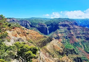 Kauai Island Private Guided Tour-Waimea Canyon from Poipu/Koloa