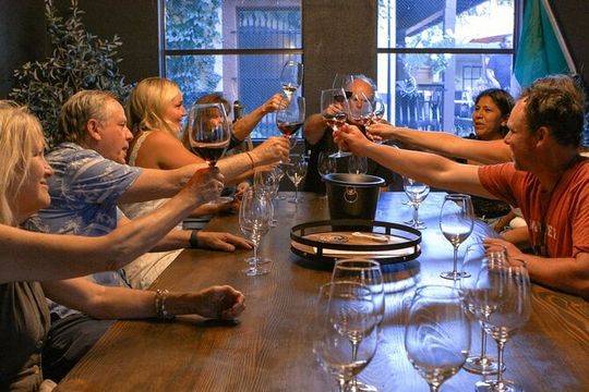 3 Hour Electric Trike Sunset Tour at Sonoma