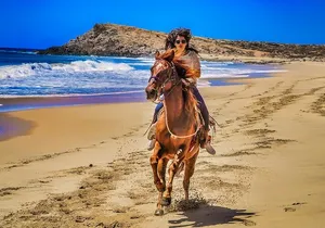 Migriño Beach Horseback Riding Experience