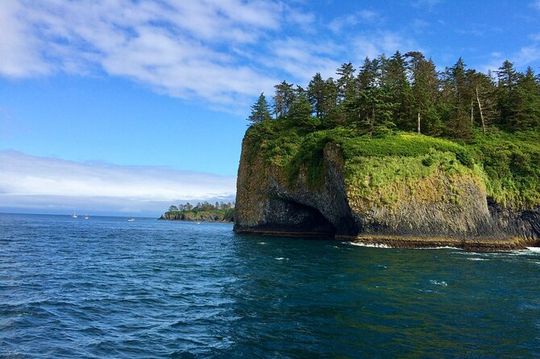 Sitka Seabirds & Marine Life Private Charter Scenic Eco-Tour