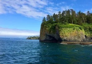 Sitka Seabirds & Marine Life Private Charter Scenic Eco-Tour