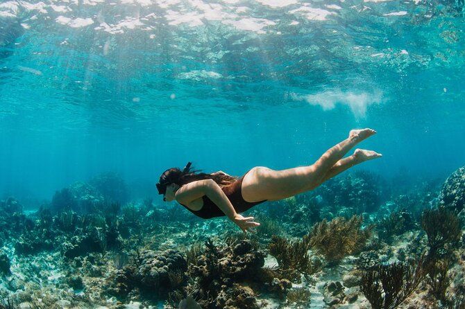3hr Private Charter: Snorkel, Stingrays, Bio