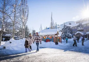 Whistler, Squamish Canyon Walk & Mamquam Falls