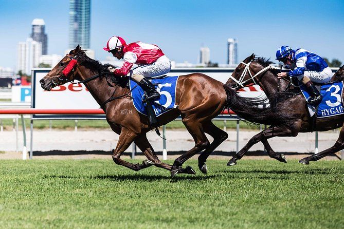 Sydney Harbour Melbourne Cup Cruise