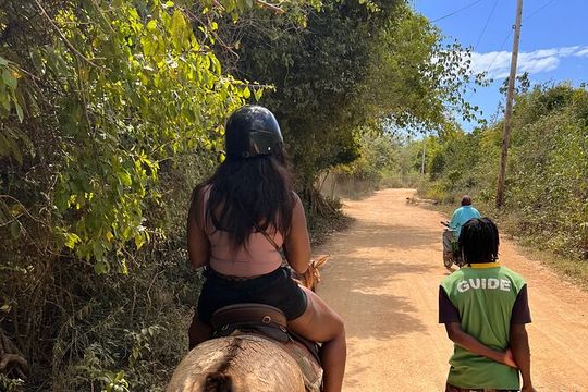 Roundtrip Transfer To or From Jam West Adventure