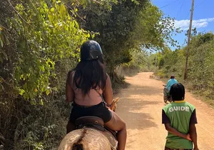 Roundtrip Transfer To or From Jam West Adventure