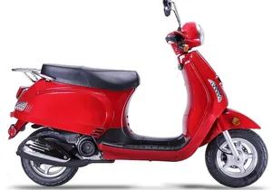 6 Hours, 2 Passengers Retro "Lucky " 49cc