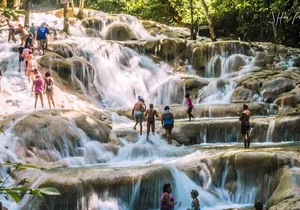 Private Roundtrip Transfer from Montego Bay to Dunn's River Falls