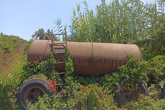 Todos Santos Treasure Hunt