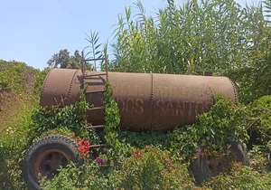 Todos Santos Treasure Hunt