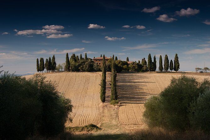 Private Chianti Wine Tour from Florence Half-Day Experience