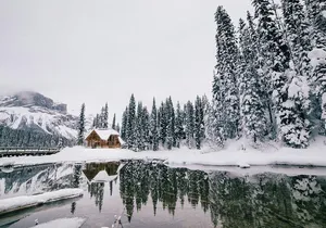 6-Day Rocky Rail, Banff Town, Icons, & Icefields Journey