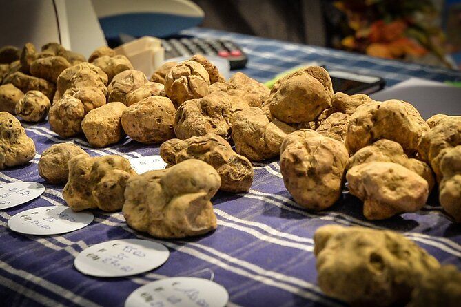 Alba Truffle Fair: Guided Tour and Skip-the-Line Access