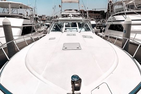 The Finest Private Yacht Experience in Cabo