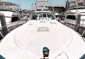 The Finest Private Yacht Experience in Cabo