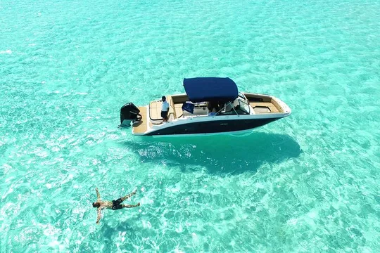 Deluxe Private Boats - 27 ft Sea Ray