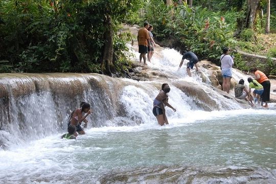 Falmouth Shore Excursion: Dunns River Falls and River Tubing Tour
