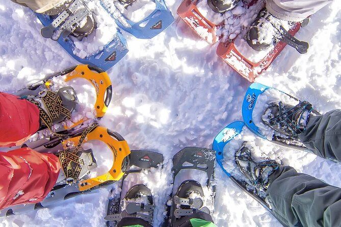 Snowshoeing tour with Wild Lunch