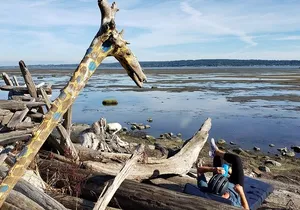 Mud Bay Park Bicycle Rental