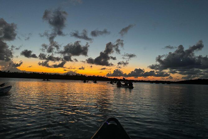 Laguna Grande Night Kayaking Bio Bay and Transportation