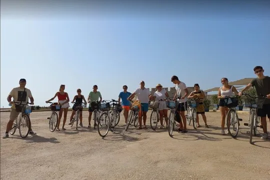 Syracuse Bicycle Rental