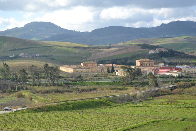 Oil Tour in Historic Baglio Florio Adamo with Lunch