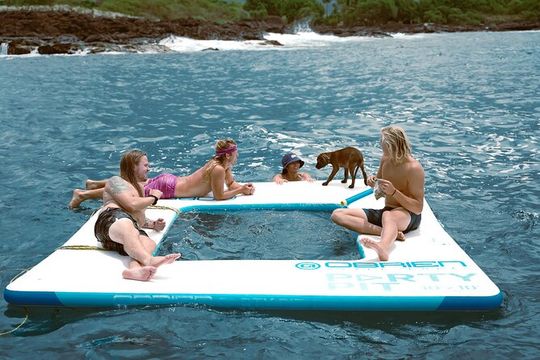 Kealakekua Bay Snorkel & Dolphin Safari In Kona Big Island (4hrs)