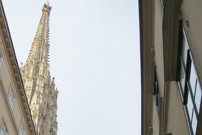 St. Stephen's cathedral - old symbol newly discovered