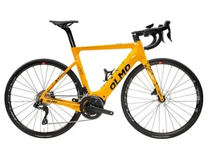 Electric Olmo E-bro 2.0 E-race Bike 500W Rental in Tenerife